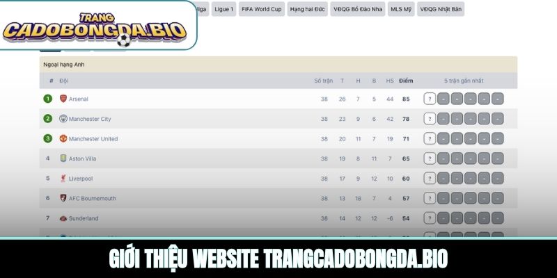 Giới thiệu website robertanasi.com